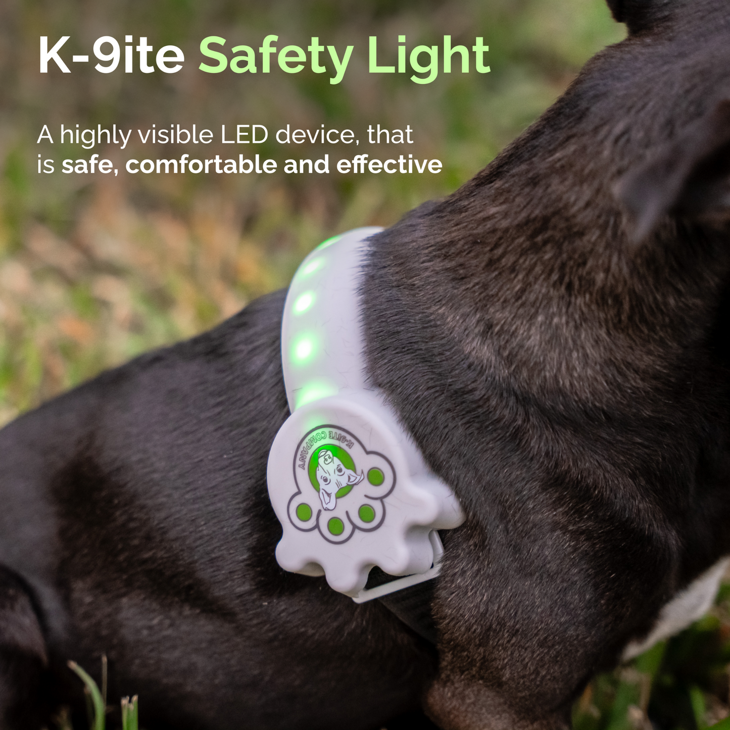 K-9ite Safety Light: Safe & Rechargeable LED Belt For Small Dogs