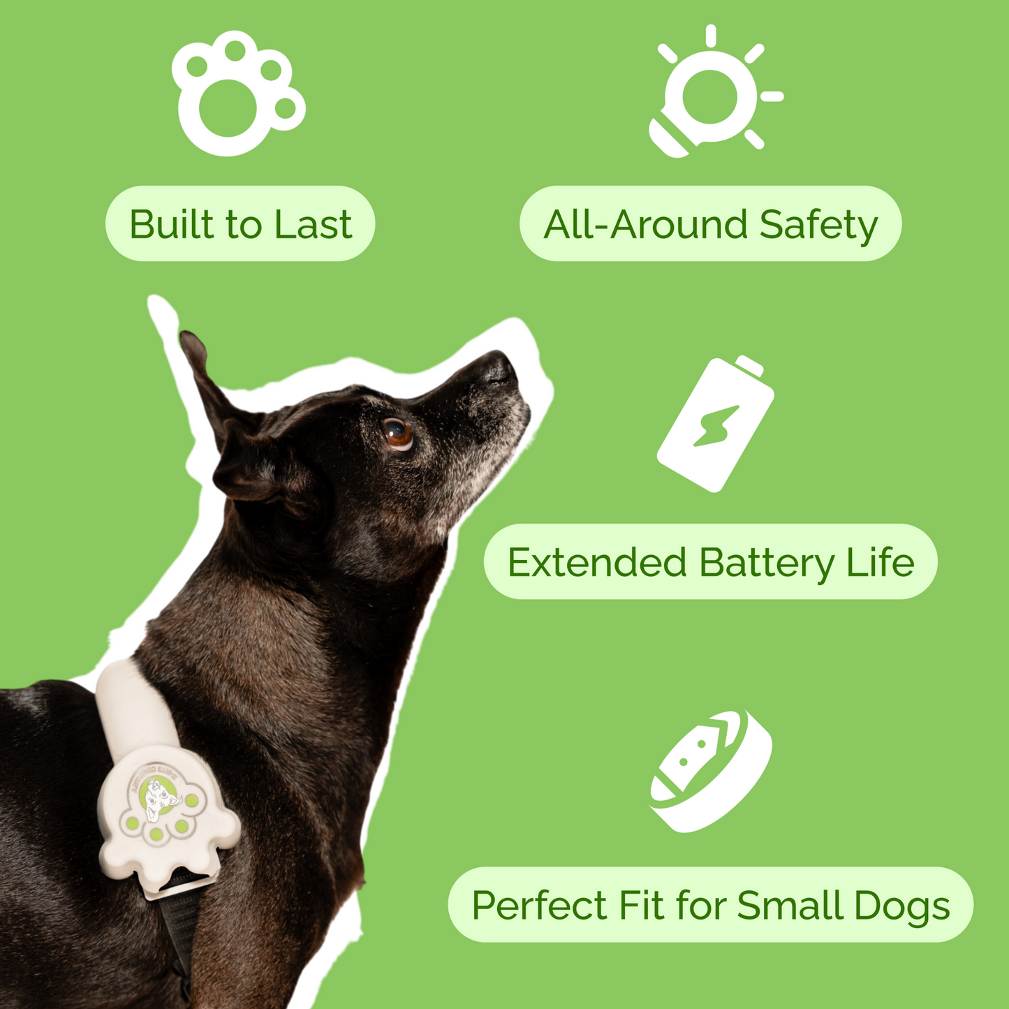 K-9ite Safety Light: Safe & Rechargeable LED Belt For Small Dogs