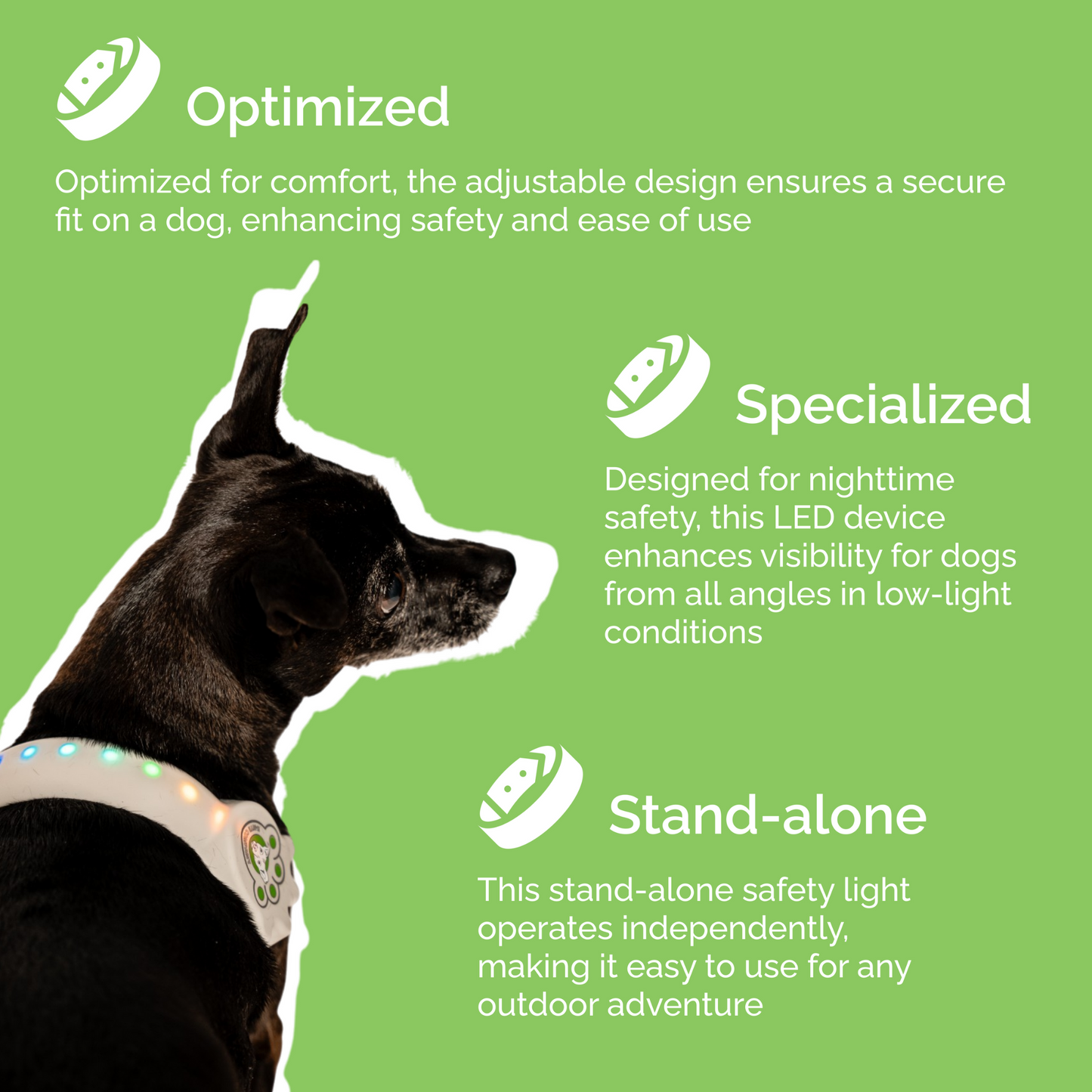 K-9ite Safety Light: Safe & Rechargeable LED Belt For Small Dogs